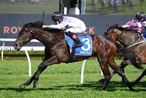 furious stakes|A Guide To The Furious Stakes .